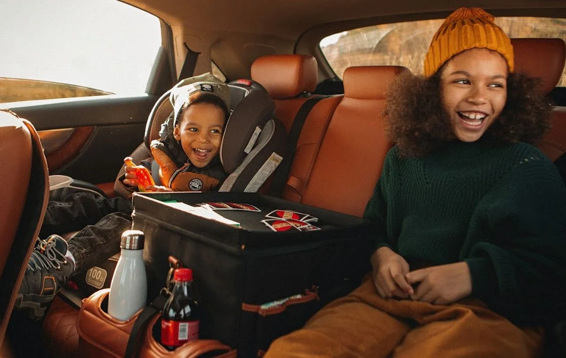 Large-Capacity Car Organizer